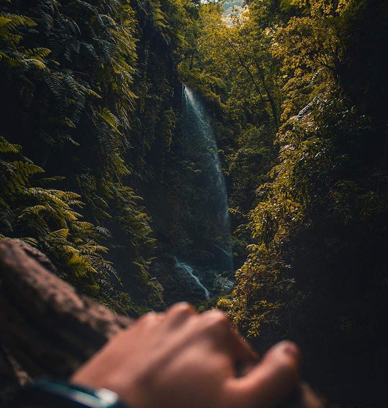 cristian-palmer-763347-unsplash-1-small